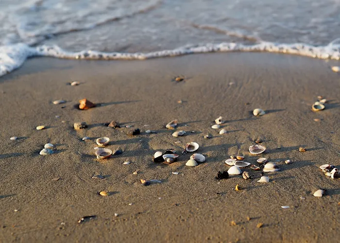 Daire Renewed Flat With Seaview-beahost Bibione